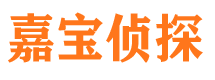 正安市侦探调查公司